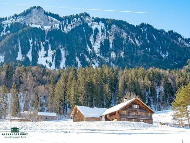 Bauernhaus zum Kauf 1.000.000 € 350 m² 1.500 m² Grundstück Mellau 6881