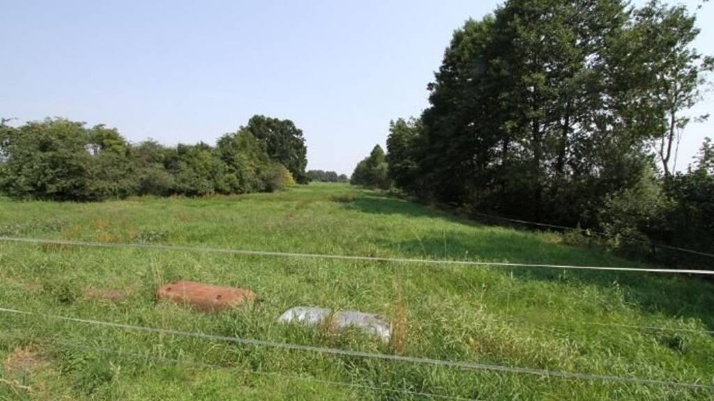 Bauernhof zum Kauf 295.000 € 80 m² 10.000 m² Grundstück Lensahn 23738