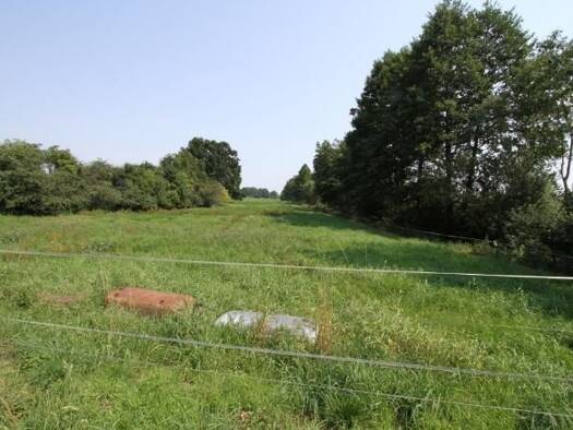 Bauernhof zum Kauf 295.000 € 80 m² 10.000 m² Grundstück Lensahn Lensahn 23738