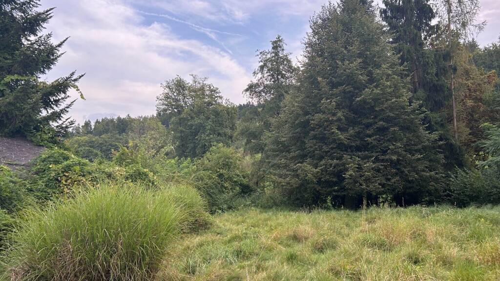 Grundstück zum Kauf 720.000 € 1.956 m² Grundstück Sankt Leonhard Graz,10.Bez.:Ries 8010