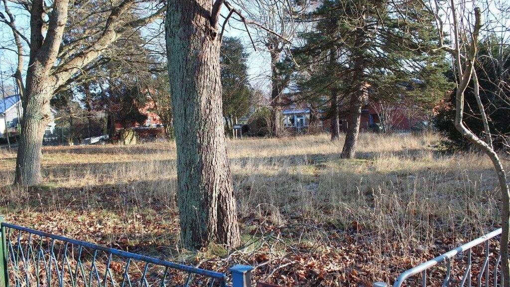 Grundstück zum Kauf 1.712 m² Grundstück Prerow 18375