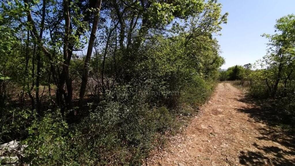 Land-/Forstwirtschaft zum Kauf 162.000 € Sajini