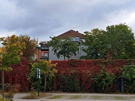 Mehrfamilienhaus zum Kauf 950.000 € 314 m² 523 m² Grundstück Glienicke/Nordbahn 16548