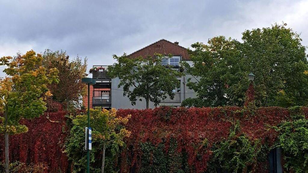 Mehrfamilienhaus zum Kauf als Kapitalanlage geeignet 795.000 € 10 Zimmer 314 m² 523 m² Grundstück Glienicke/Nordbahn 16548