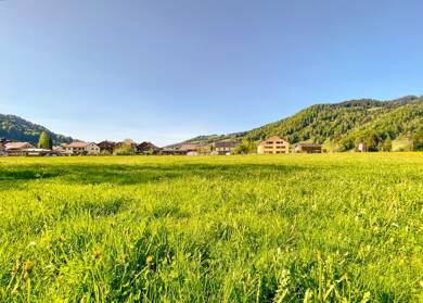 Terrassenwohnung zum Kauf provisionsfrei 630.000 € 4 Zimmer 104,8 m² Dachgeschoss Platz 346 Hittisau 6952