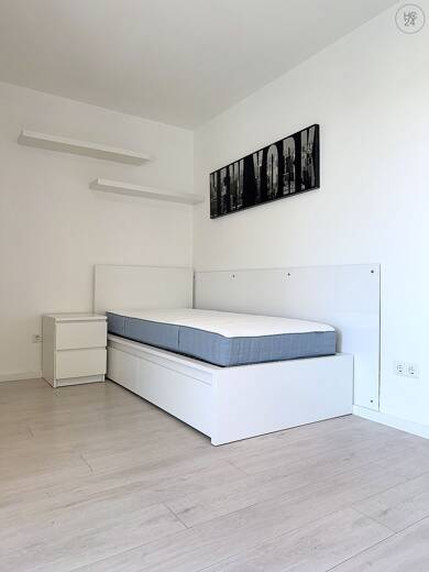 Wohnung zur Miete Wohnen auf Zeit 730 € 1 Zimmer 22 m² frei ab sofort Südstadt 50 Fürth 90763