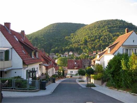 Wohnung zum Kauf als Kapitalanlage geeignet 124.000 € 1,5 Zimmer 45 m² Lambrecht 67466