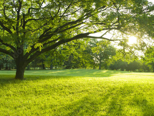 Grundstück zum Kauf 540.000 € 887 m² Grundstück Heusenstamm 63150