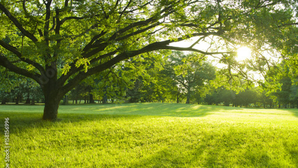 Grundstück zum Kauf 540.000 € 887 m² Grundstück Heusenstamm 63150