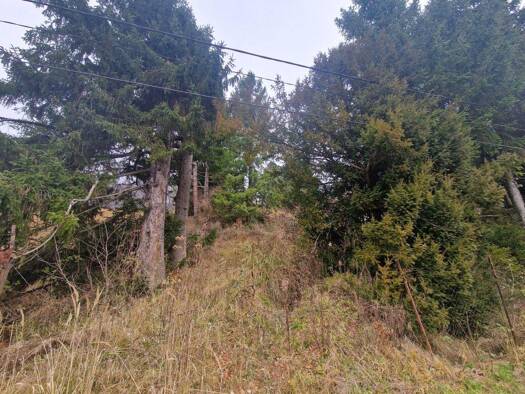 Grundstück zum Kauf 455.280 € 1.626 m² Grundstück Weidlingbach 3400