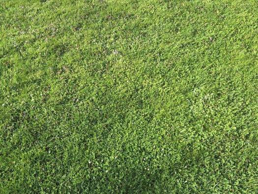 Grundstück zum Kauf provisionsfrei 239.000 € 414 m² Grundstück Hollabrunn 2020