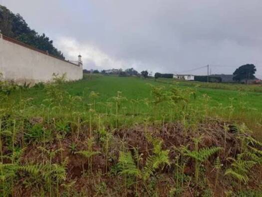Acker-/Waldstück zum Kauf 55.000 € Plaza Del Adelantado Nn San Cristóbal de La Laguna 38201