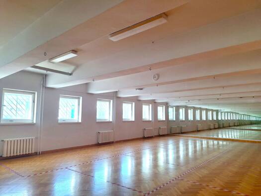 Werkstatt zur Miete provisionsfrei 12,22 € 1.022 m² Lagerfläche Elisabeth-Christinen-Str. 27 Niederschönhausen Berlin 13156