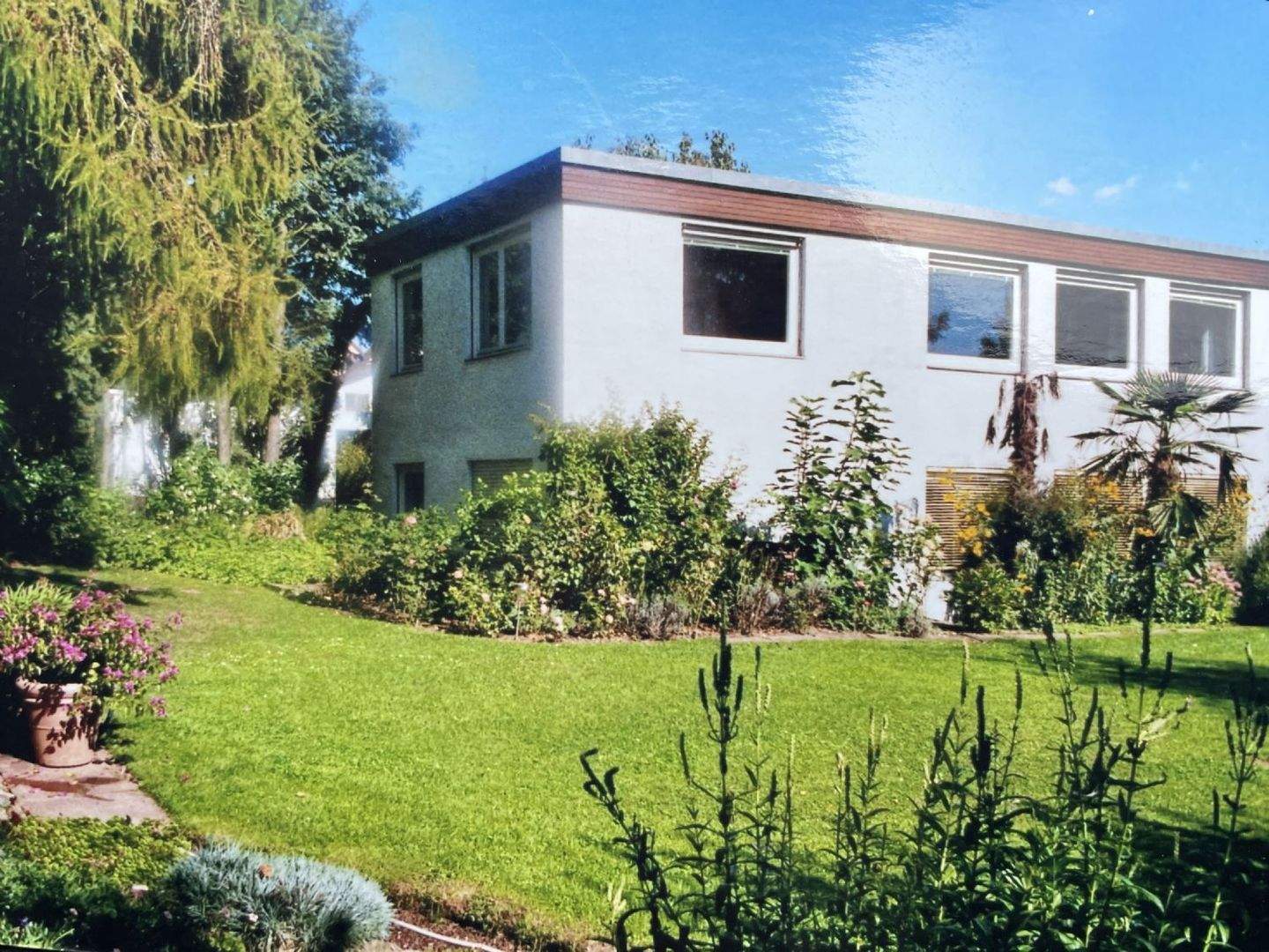 Immobilie in Sulzbach - MTI - Bungalow in bester Lage - Bild 0