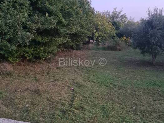 Acker-/Waldstück zum Kauf 119.000 € Zadar 23000