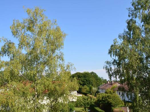 Wohnung zur Miete 1.135 € 3 Zimmer 108 m² Geschoss 2/3 frei ab sofort Erlenstraße 2 a Mühldorf Mühldorf a.Inn 84453