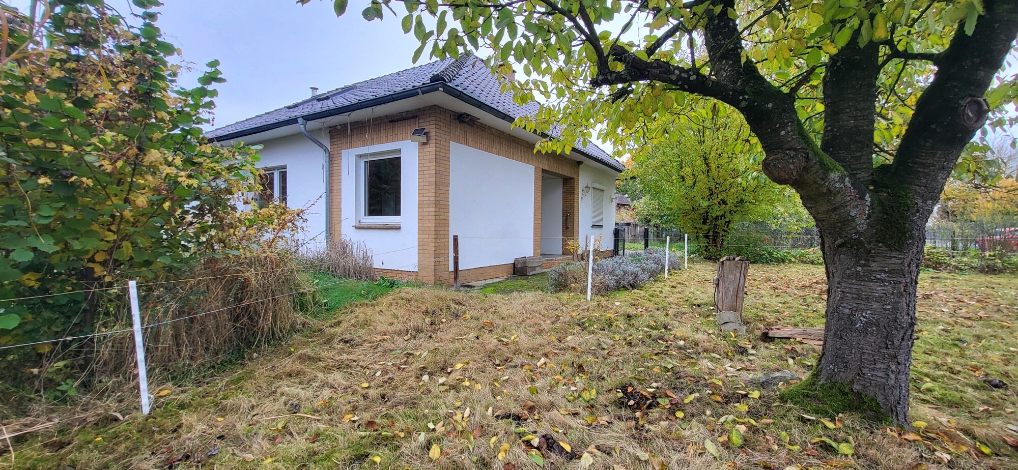 Bungalow zum Kauf 165.000 € 6 Zimmer 115 m²<br/>Wohnfläche 2.455 m²<br/>Grundstück Schönewörde 29396