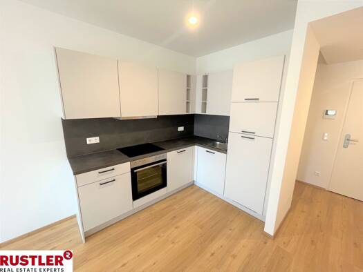 Wohnung zur Miete 559 € 2 Zimmer 48,1 m² Eggenberg Graz 8020