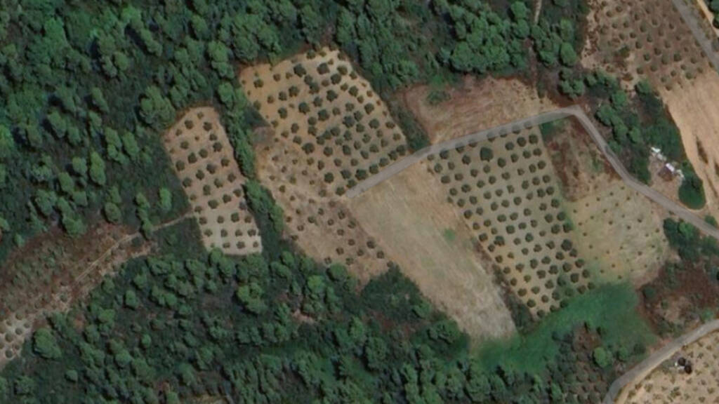 Land-/Forstwirtschaft zum Kauf 80.000 € 2.158 m² Grundstück Chalkidiki