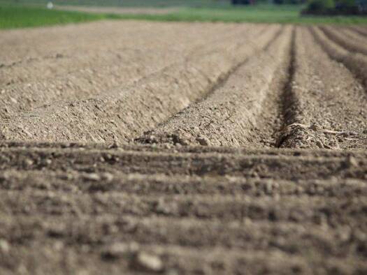 Land-/Forstwirtschaft zum Kauf 79.288 € 12.686 m² Grundstück Blasheim Lübbecke 32312