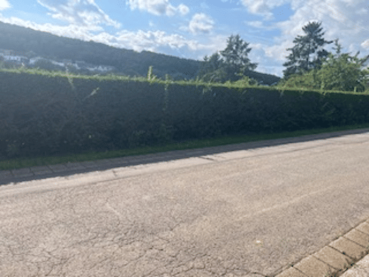 Grundstück zum Kauf 39.500 € 784 m² Grundstück frei ab sofort Dirmingen Eppelborn 66571
