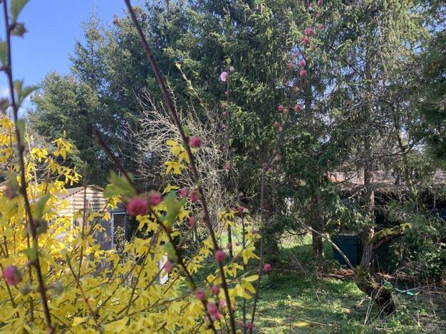 Grundstück zum Kauf 269.900 € 650 m² Grundstück Lützschena-Stahmeln Leipzig 04159