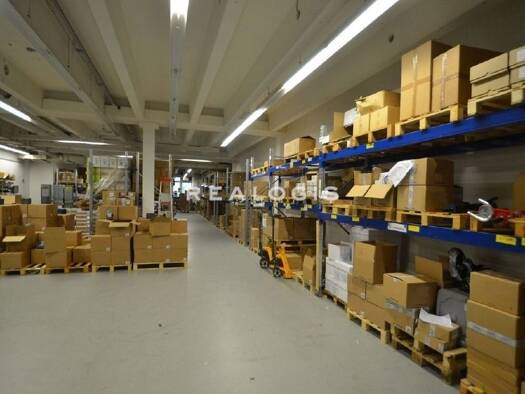 Halle/Industriefläche zur Miete 5.500 m² Lagerfläche Hamm Hamburg 20537