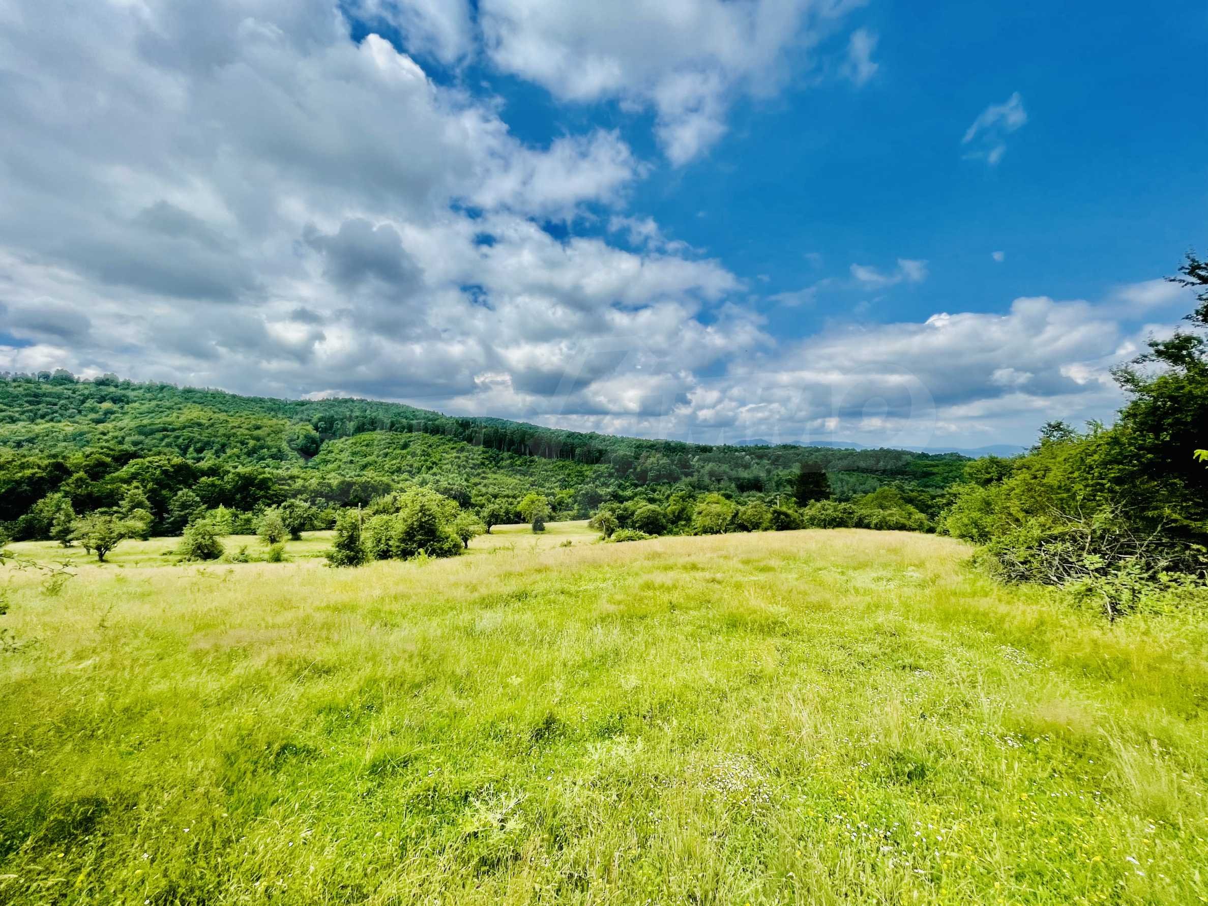 Landwirtschaftliche Fläche zum Kauf 128.000 € Elena