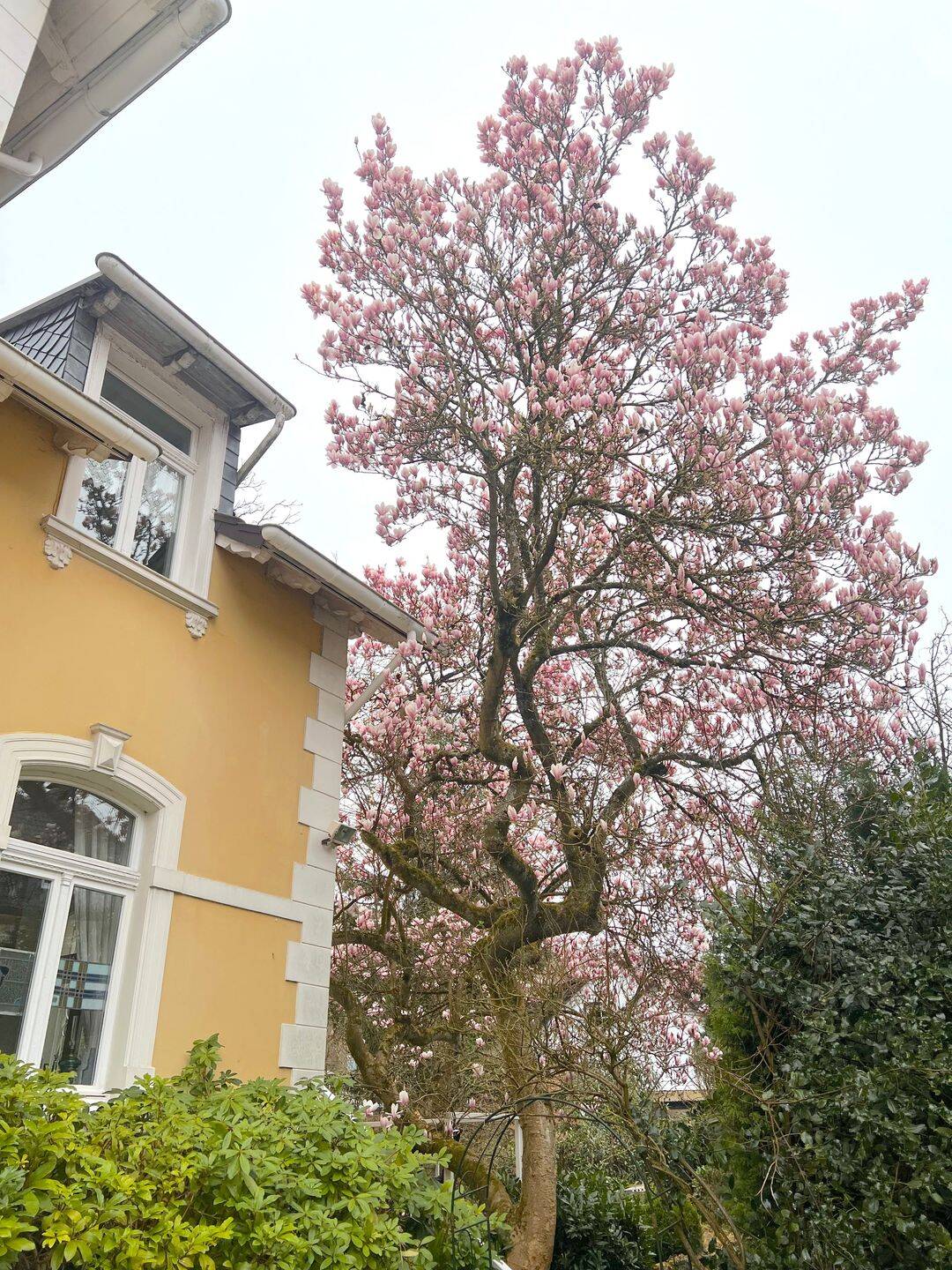 Einfamilienhaus zum Kauf - Ansicht 2