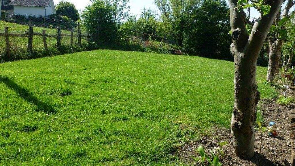 Wohnung zur Miete 550 € 3 Zimmer 82 m² Geschoss EG/2 frei ab 01.05.2026 Linnepe Sundern 59846