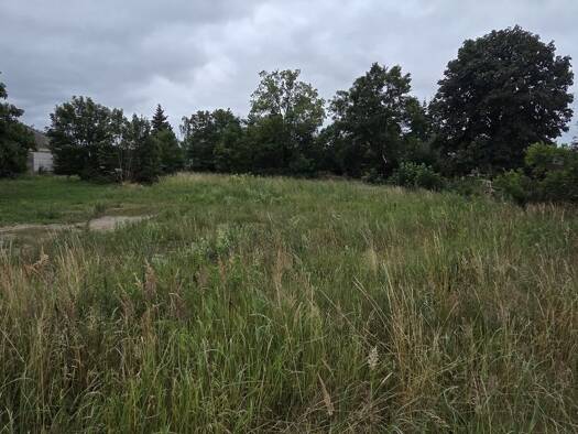 Grundstück zum Kauf 65.000 € 1 m² Grundstück Neuhaus Amt Neuhaus 19273