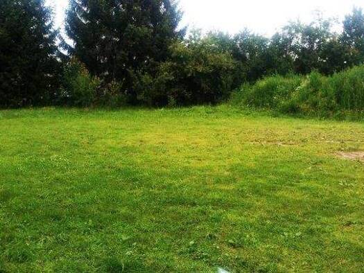 Einfamilienhaus zum Kauf 450.000 € 4 Zimmer 100 m² 1.123 m² Grundstück KÃ¼hnsdorf 9125