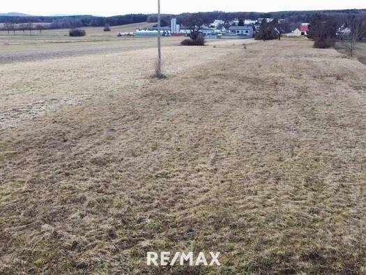 Grundstück zum Kauf 76.500 € 3.278 m² Grundstück Steinberg 7453