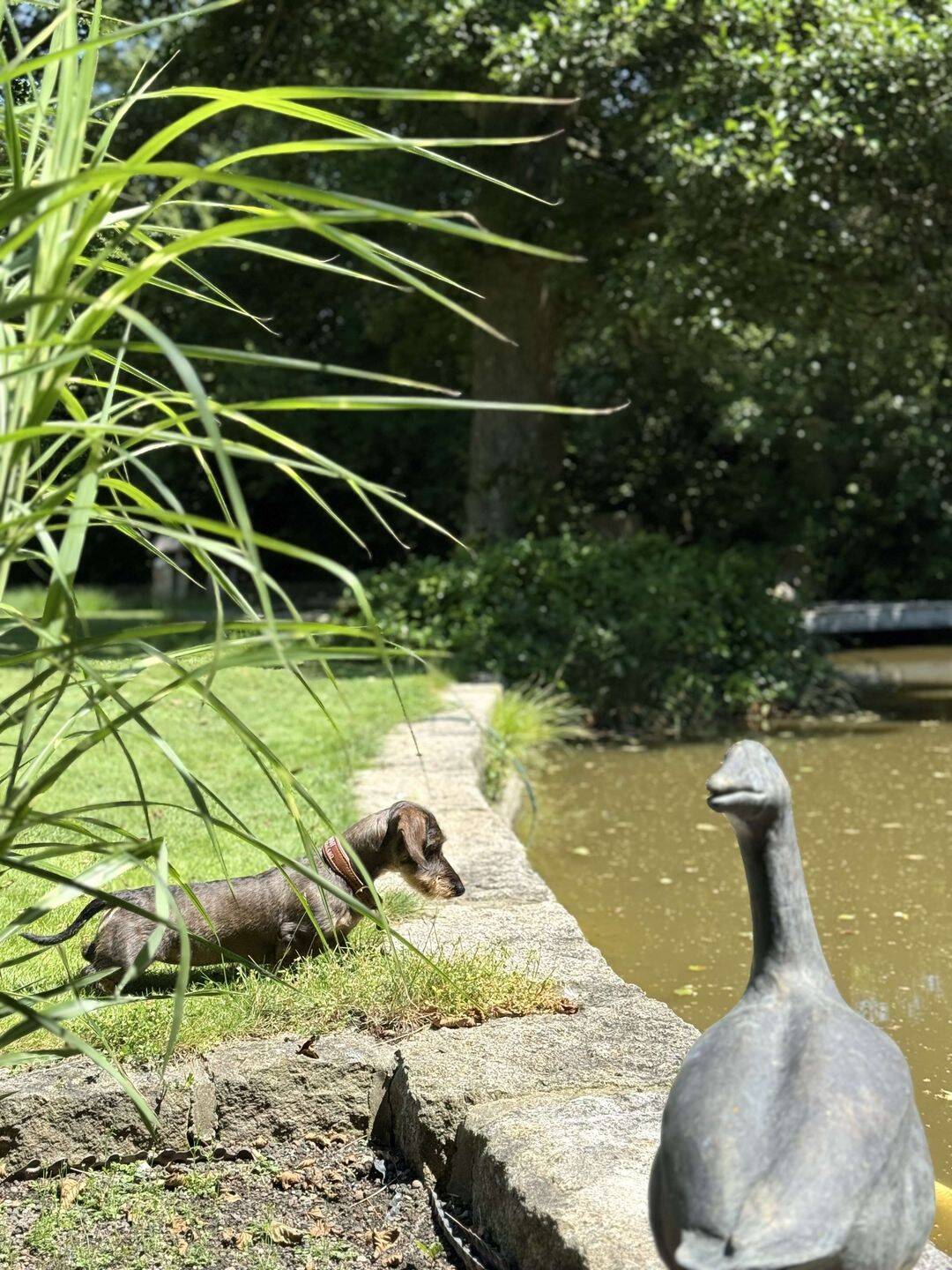 Property thumbnail 19