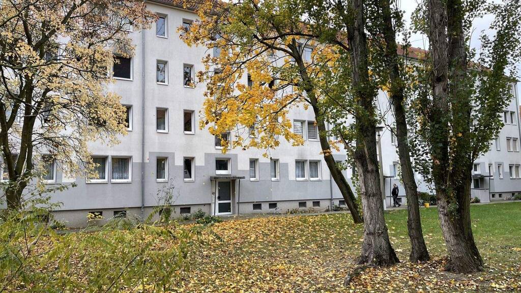 Wohnung zur Miete 323 € 2 Zimmer 46 m² EG Max-Lademann-Str. 13 Wolfen Bitterfeld-Wolfen 06766