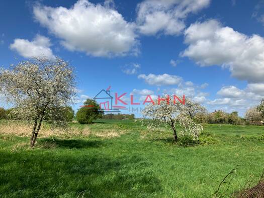 Grundstück zum Kauf 300.000 € 22.000 m² Grundstück Zepelin Zepelin 18246