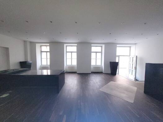 Laden zur Miete 13 € Wien 1060