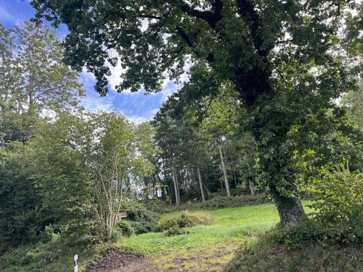 Grundstück zum Kauf 228.000 € 1.001 m² Grundstück Eckernförde 24340