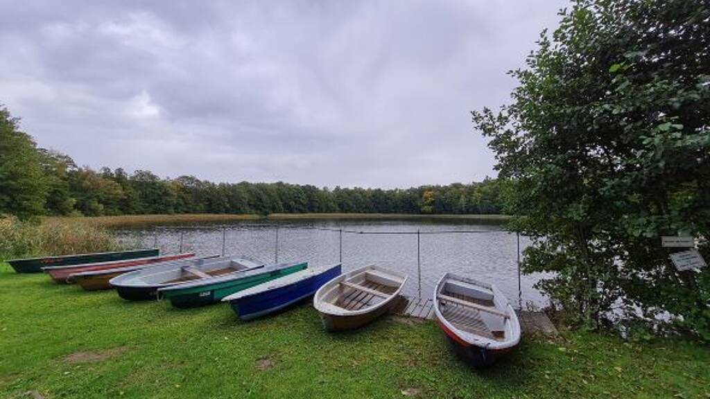 Sonstiges zum Kauf 1.395.000 € 51.323 m² Grundstück Schwarz 17252