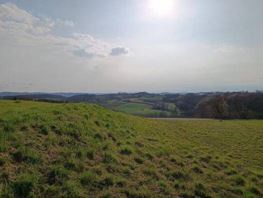 Grundstück zum Kauf 210.000 € 7.183 m² Grundstück Weichselbaum 8382