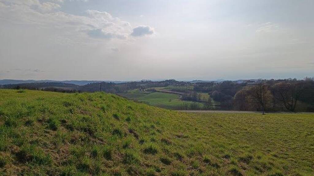 Grundstück zum Kauf 210.000 € 7.183 m² Grundstück Weichselbaum 8382