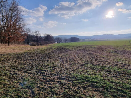 Land-/Forstwirtschaft zum Kauf 54 CZK Staré Sedliste 34701