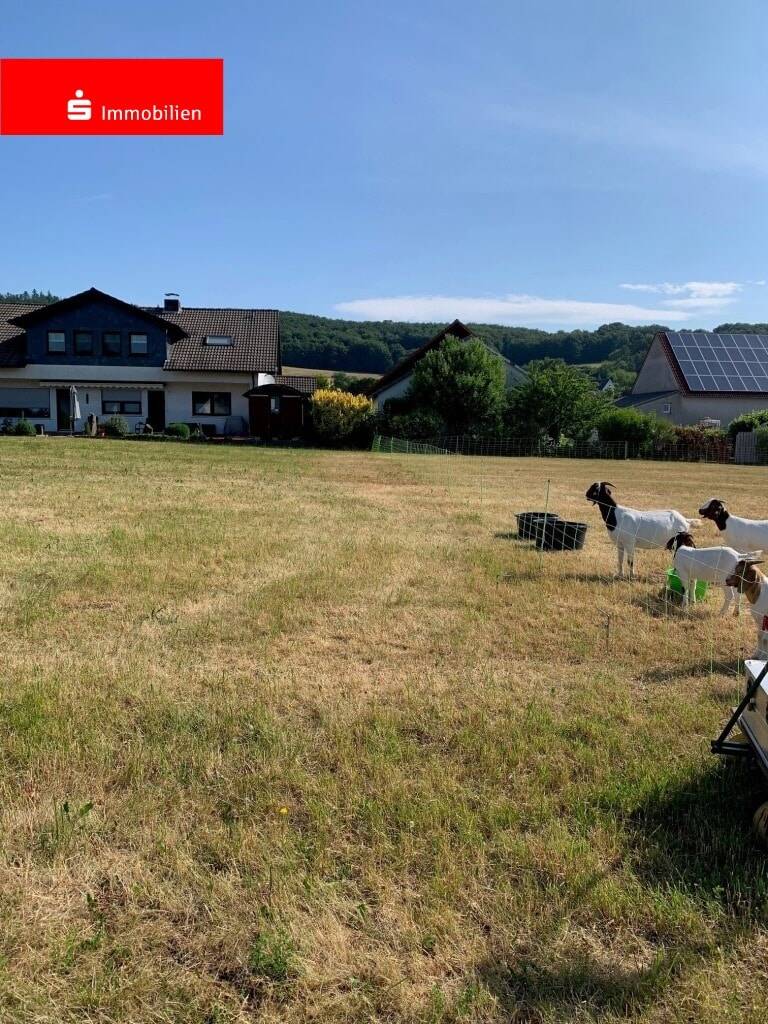 Grundstück zum Kauf 18.275 € 731 m²<br/>Grundstück Weißenborn Ottrau 34633