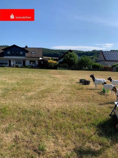 Grundstück zum Kauf 18.275 € 731 m² Grundstück Weißenborn Ottrau 34633