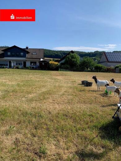 Grundstück zum Kauf 18.275 € 731 m² Grundstück Weißenborn Ottrau 34633