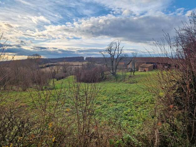 Land-/Forstwirtschaft zum Kauf 38.600 € 10.000 m² Grundstück Čazma 43240