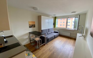 Wohnung zur Miete Wohnen auf Zeit 1.450 € 1 Zimmer 27 m² frei ab 15.01.2025 Danneckerstraße 0 Dobel Stuttgart Zentrum 70182