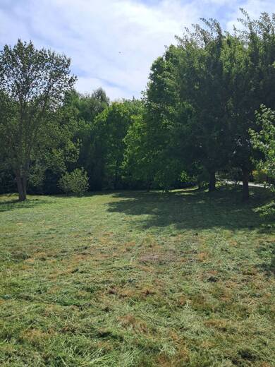 Grundstück zum Kauf provisionsfrei 58.000 € 1.166 m² Grundstück Parkweg 10 Levitzow Sukow-Levitzow 17168