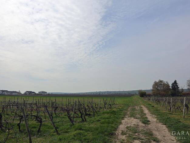 Bungalow zum Kauf 379.000 € 5 Zimmer 109 m² 369 m² Grundstück frei ab 01.06.2026 Gimbsheim 67578