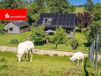 Einfamilienhaus zum Kauf 649.000 € 4 Zimmer 130 m² 2.722 m² Grundstück Kollmar 25377